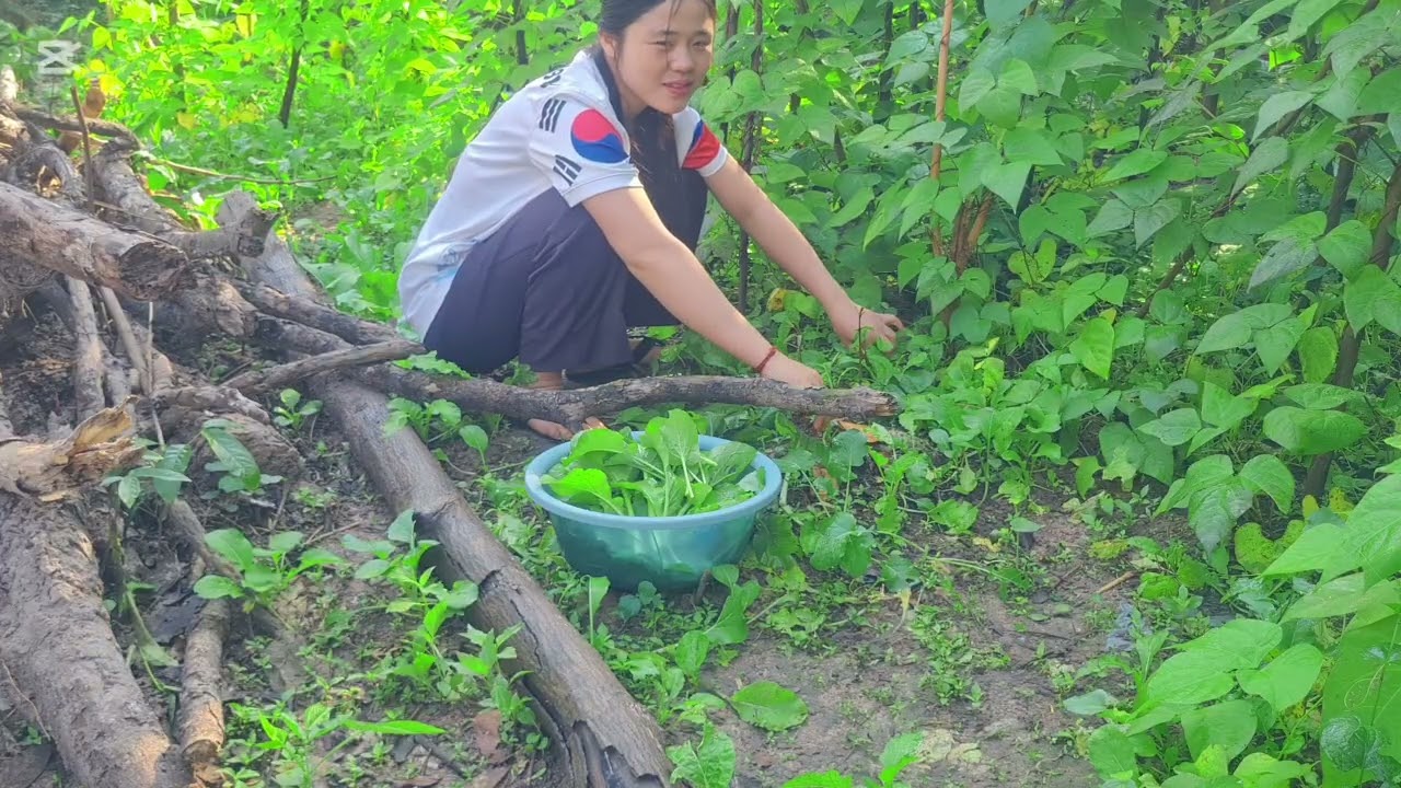 ເຂົ້າສວຍກີນຕອນເຂົ້າແລງເຂົ້າແລງກີນຕອນກັນຄືນ🫢😁