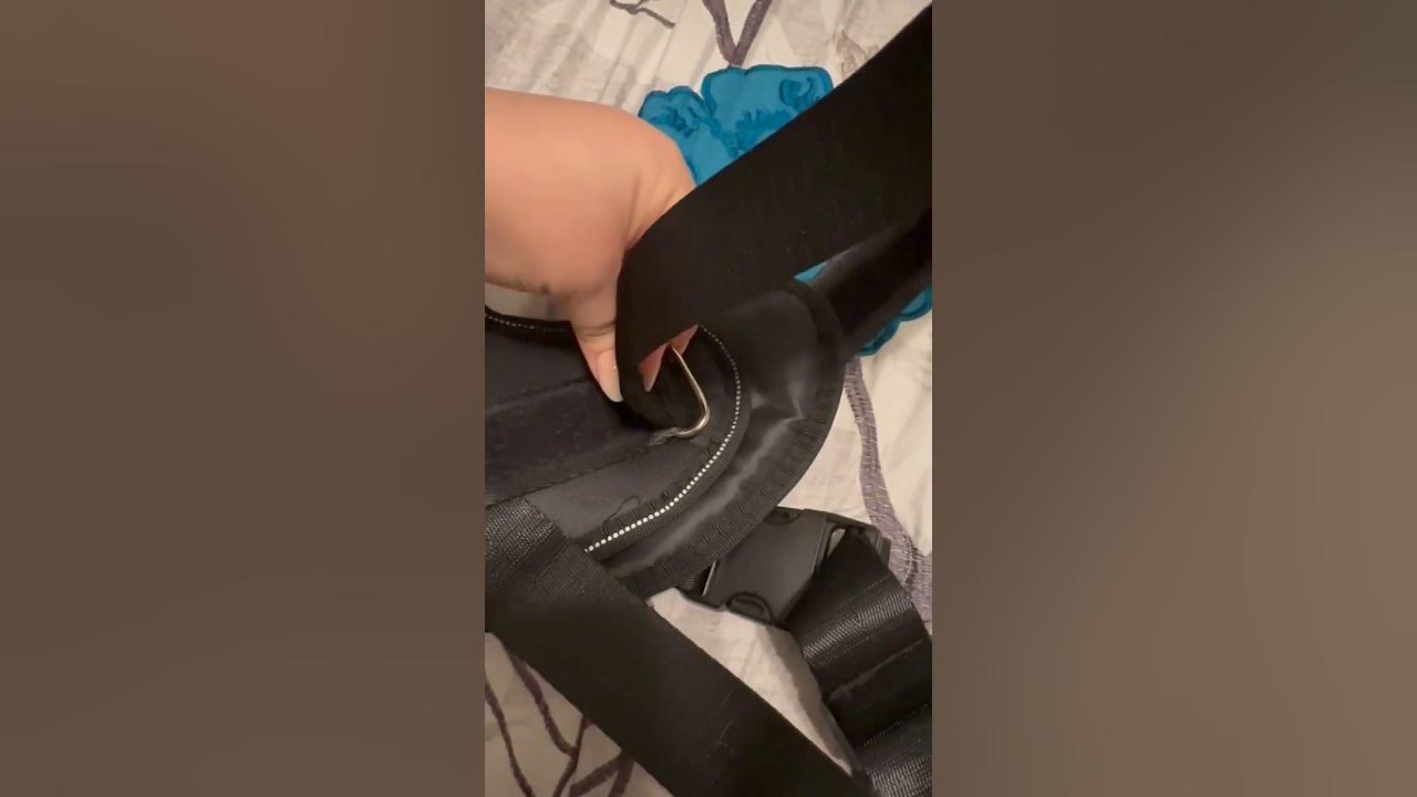 How to Setup Dog Harness YouTube
