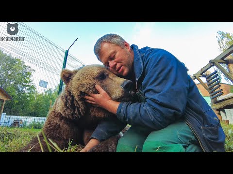 Полное обследование медведя Мансура лучшими специалистами "Госпиталь Дикой Природы"🐻🧬