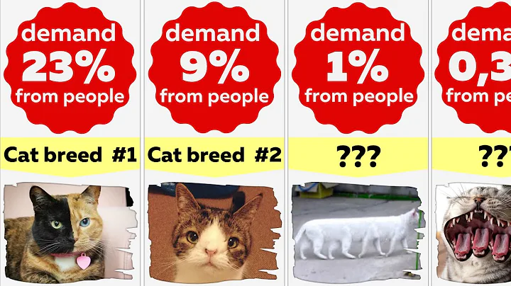 Video 9648041: himalayan cat, cat scottish, mau, tabby, rex, rare cat breeds