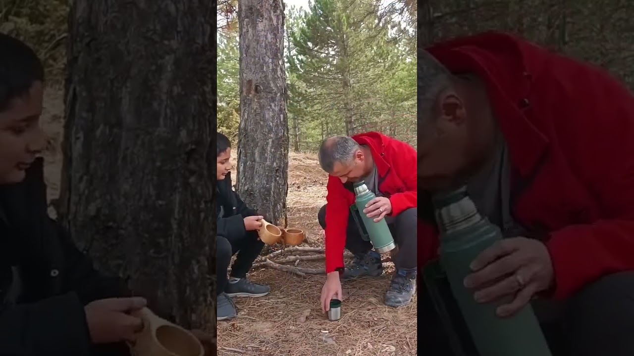 Camping with My Son in the Forest | A Warm Moment in Nature #camping  #tea #bushcraft