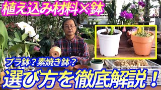 【洋蘭】素焼き鉢？プラ鉢？どれが正しい？植え込み材料と鉢の選び方の解説します。