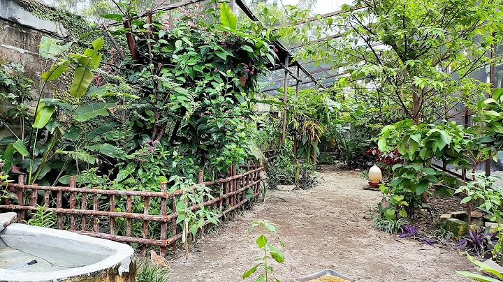 suasana baru 2025 aviary mini 58 - aviary jaring panjang 17 meter