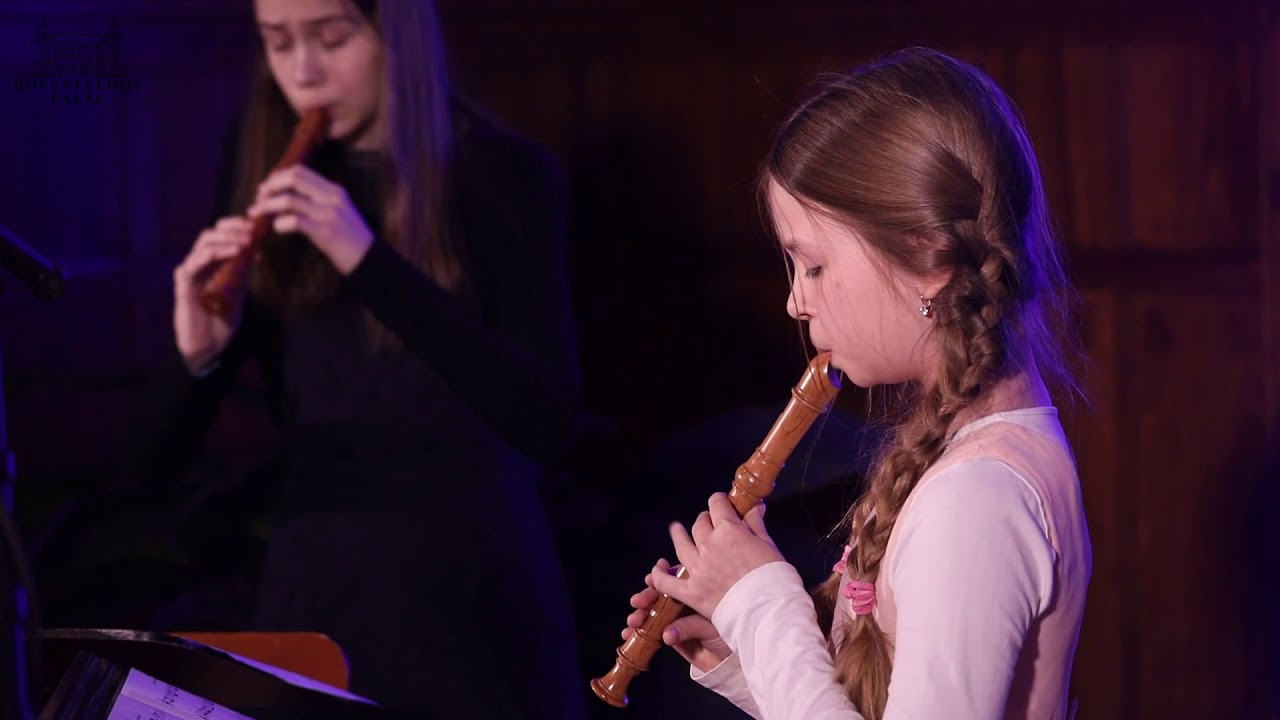 Antonio Vivaldi: Concerto in C Major RV 533