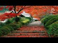 Ikimono Gakari - Yuki Ya Manu Yoru Futari ~ with Lyrics