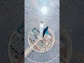 Esslucky Energy Storage Systems #batteryenergystorage #energymanagement #energystorage