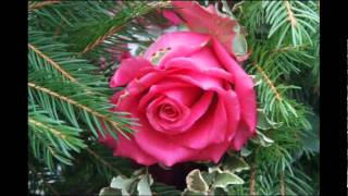 Morning (E.H.Grieg)