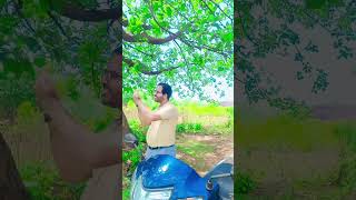 ଅଳପ ଅଳପ ପ୍ରେମ ର ଗଳପ୍...#viralshort #musicaljourney #mitushreevlogs #viralreels...🤞🤞🤞