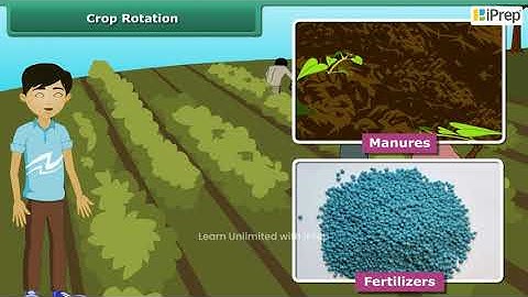 Crop Rotation | Crop Production and Management | Science | Class 8th| iPrep