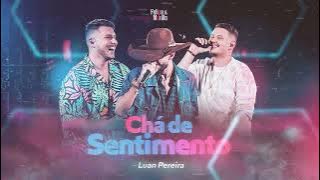 Felipe e Murillo ft Luan Pereira   Chá de Sentimento Oficial