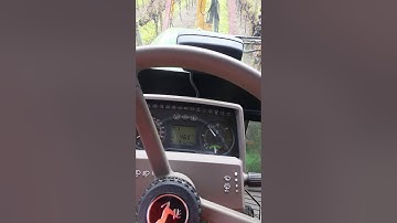 Barrel pruning grape vines