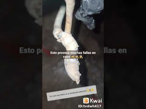 Video: ¿Se pueden unir cables de cobre y aluminio juntos?