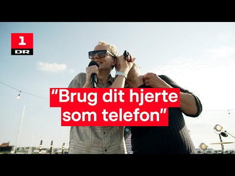 Video: Katter Trenger Riktig Miljø Og Samhandling