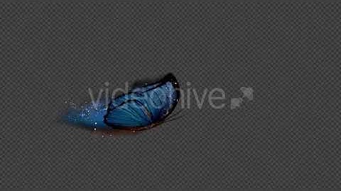 Blue Butterfly Dynamic Flying Particle Tail | Motion Graphics - Envato elements