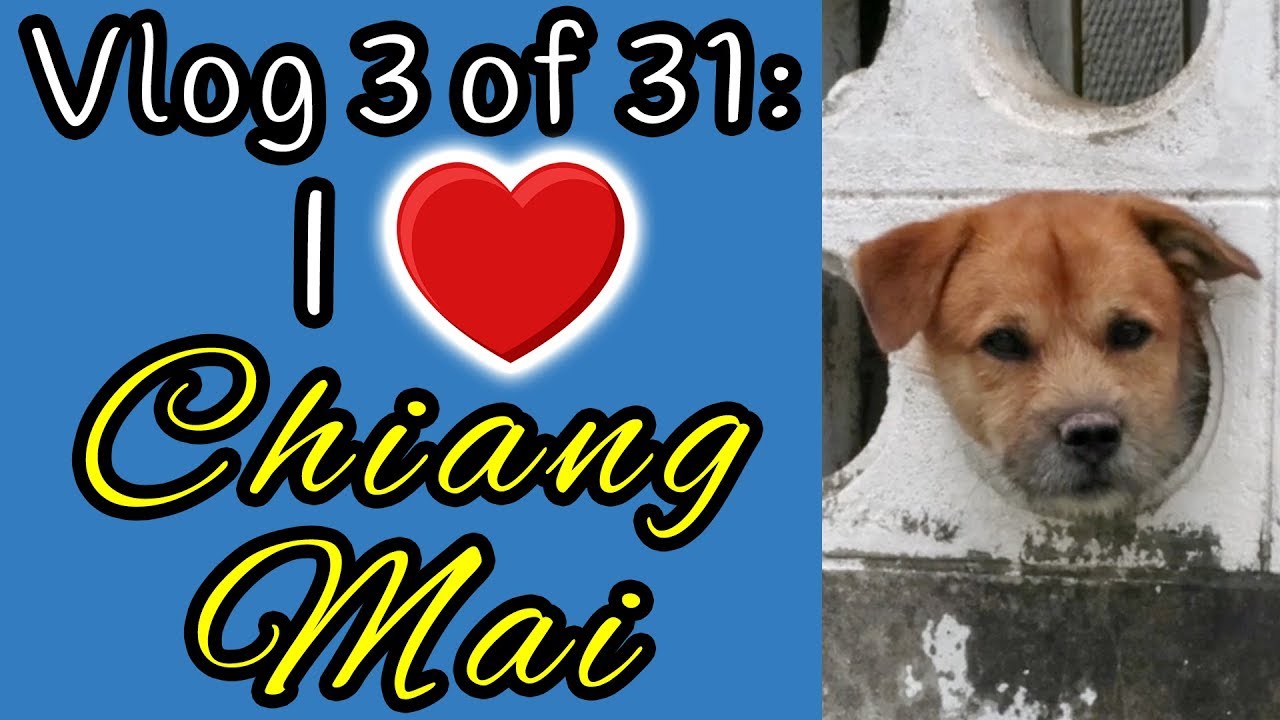 Day 3 of 31 : Expat Life, Sober Vlogtober 2019 : Chiang Mai, Thailand 2019 // Bruno Unframed v033