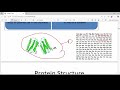 Protein Structure Part 1