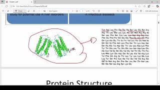 Protein Structure Part 1