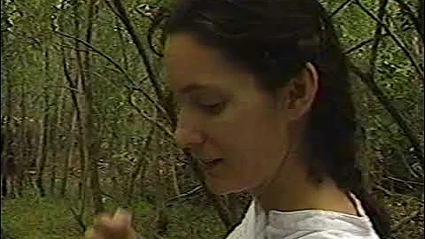 Yesterday's Everglades with Totch Brown (1995)