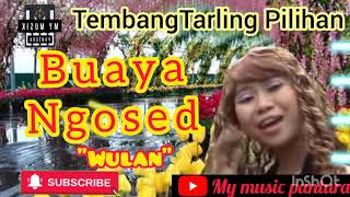 Buaya Ngosed - Wulan