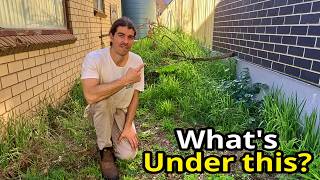 I Gave An Elderly Homeowner The Garden He Never Knew He Had Back!
