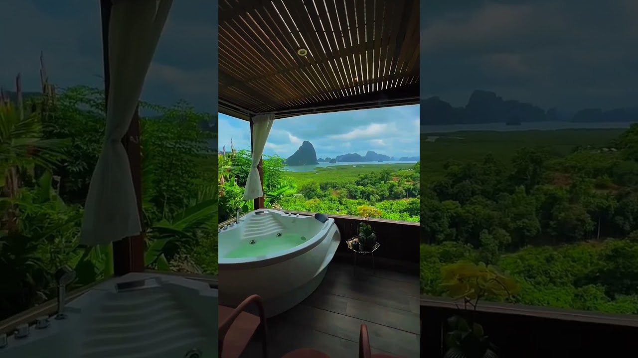 House with forest view