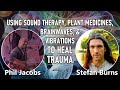 Miraculous Healing Power of Vibration with Phil Jacobs | Stefan Burns Live #10