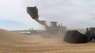 Summit 958 wheel loader with 6 m3 high dump bucket