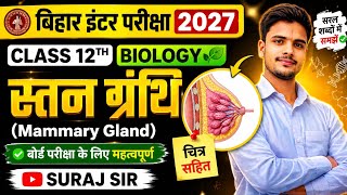 स्तन ग्रंथि (Mammary Gland) Class 12 Biology | Human Reproduction Chapter | Bihar Board | Suraj Sir