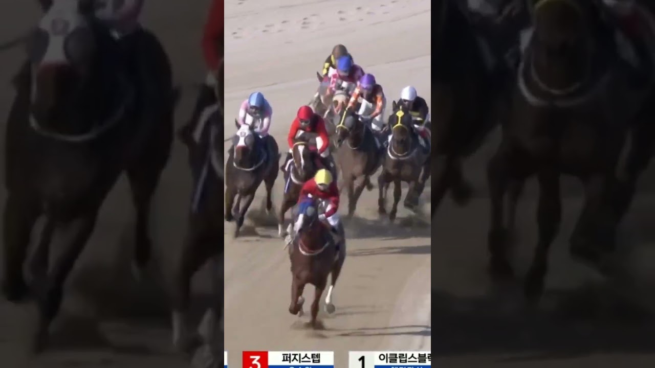 27.8배 5-6적중  돈되는배팅  해야지