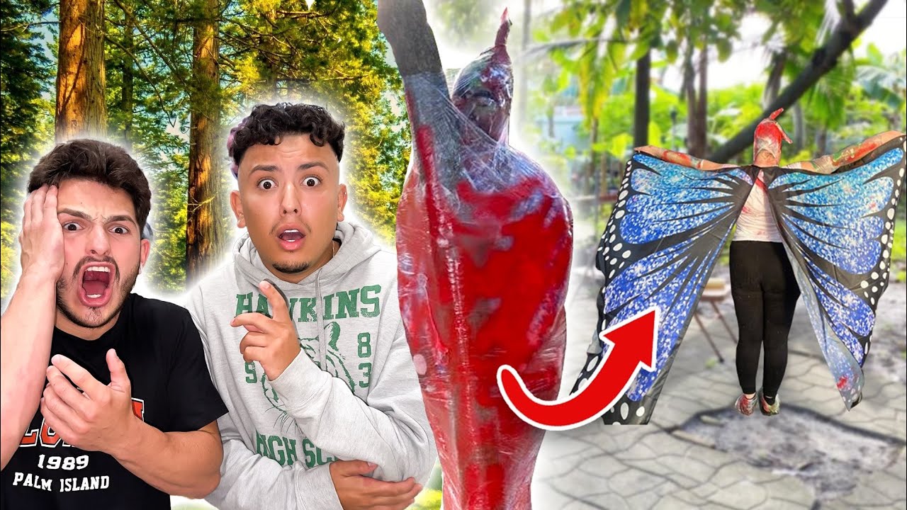 WE CAN’T BELIEVE WE SAW THIS… YouTube