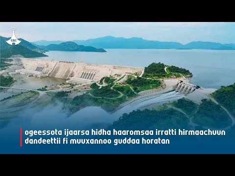 Ogeessota Ijaarsa Hidha Haaromsaa Irratti Etv Ebc Oduu Etv Afaan Oromoo Ethiopia