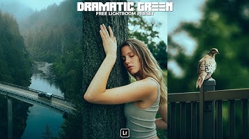 Dramatic Green Preset | Lightroom Mobile Preset Free DNG | outdoor photography | lightroom presets