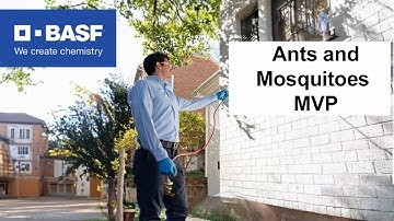 Perimeter Pro Webinar 2: Ants and Mosquitoes MVP