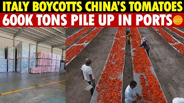 China’s 600,000 Tons of Tomato Sauce Pile Up, Italian Farmers Protest Over “Made in Italy” Labels