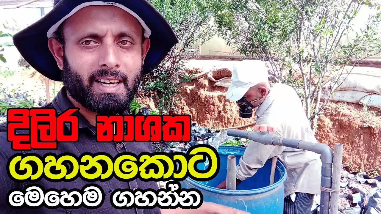 දිලිර හානි පාලනය කරගන්න දිලිර නාශක මෙහෙම ගහන්න