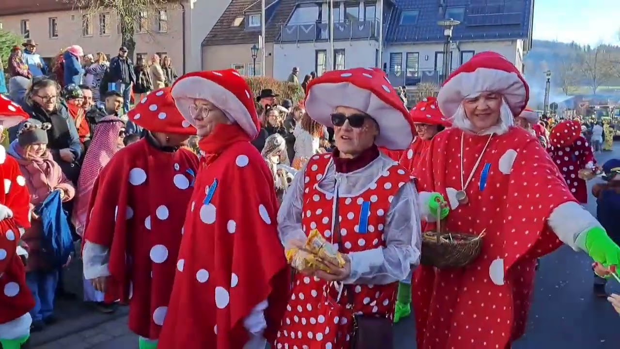 Wie feiert Deutschland Karneval?
