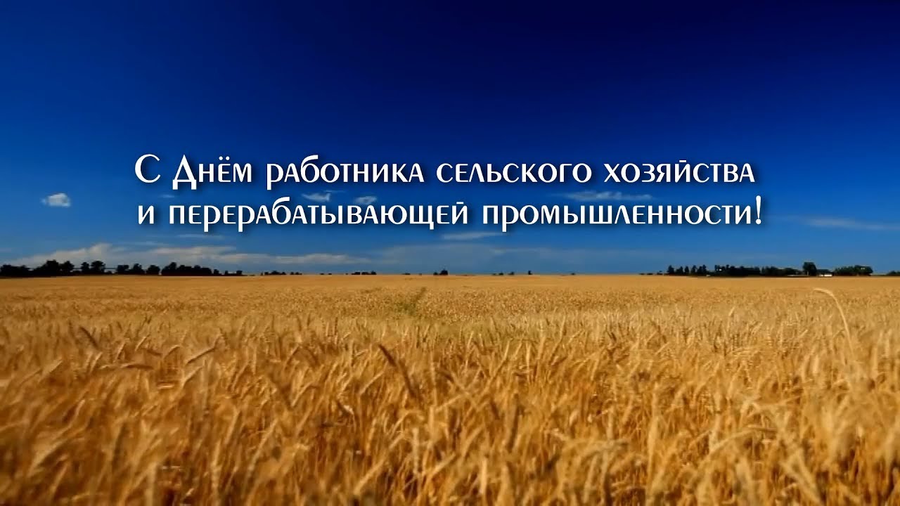 Видео Поздравление С Днем Работника Сельского Хозяйства