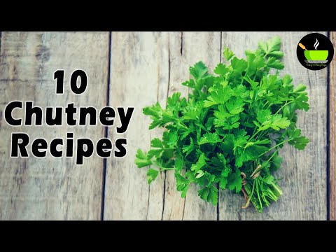 10 Chutney recipes for dosa idli & snacks | Chutney Recipes | 10 Chutney Varieties | Best Side Dish | She Cooks