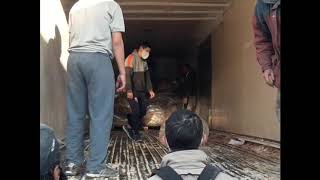 Donacion de Galletitas GRANIX para Instituciones