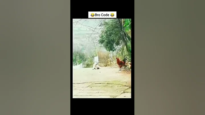 Dog imitates Rooster - DayDayNews