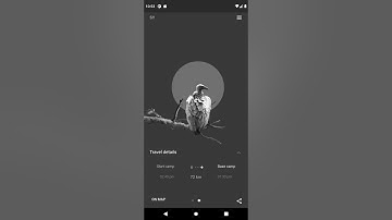 Safari Flutter Animation - Flutter UI Demo