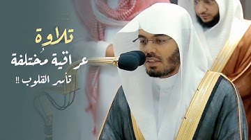 فجرية عراقية مُختلفة تأسر القلوب .. لا تفتكم! | من سورة الزمر لـ د.ياسر الدوسري 25-1-1445هـ