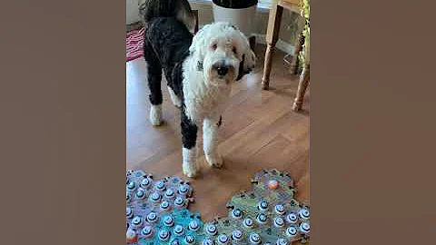 What an amazing conversation!!