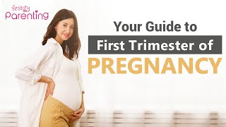 First Trimester of Pregnancy – What to Expect