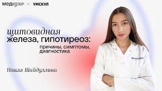 Щитовидная железа, гипотиреоз: причины, симптомы, диагностика