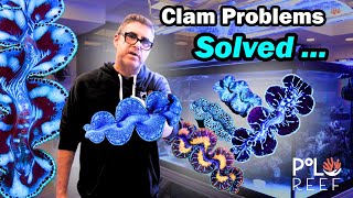 Why do Tridacna Clams get such a bad rap Did we find the Answer Polo Reef Explores Clam Solutions!
