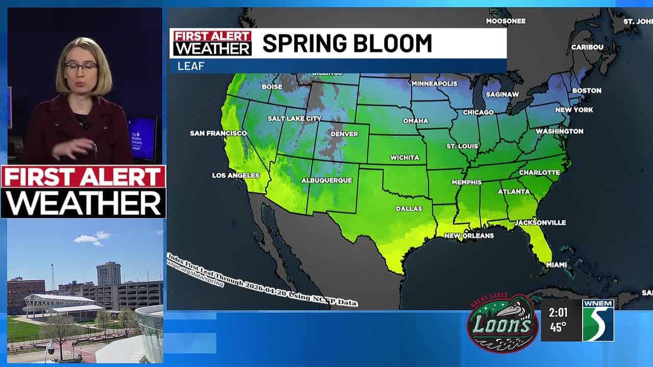 First Alert Weather Update: Let's talk about the spring bloom - YouTube