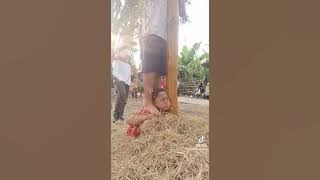 Lomba Panjat pinang lucu ngakakk