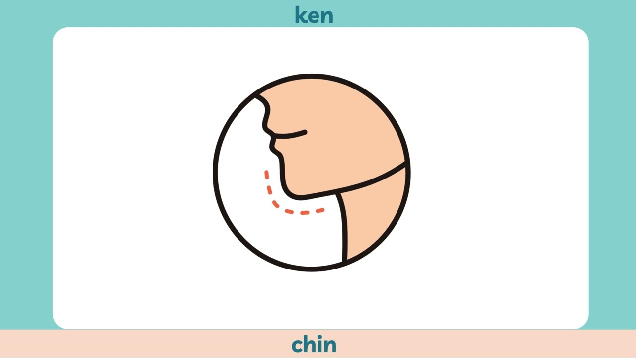 Teaching Afrikaans 1.11 | Body Parts | CAPS Grade 1 Afrikaans FAL