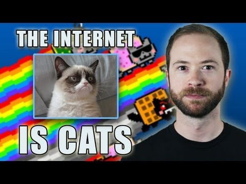 Is the Internet Cats? | Idea Channel | PBS Digital Studios